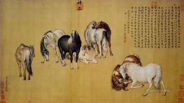 horse cats Painting - Lang shining eight horses old China ink Giuseppe Castiglione
